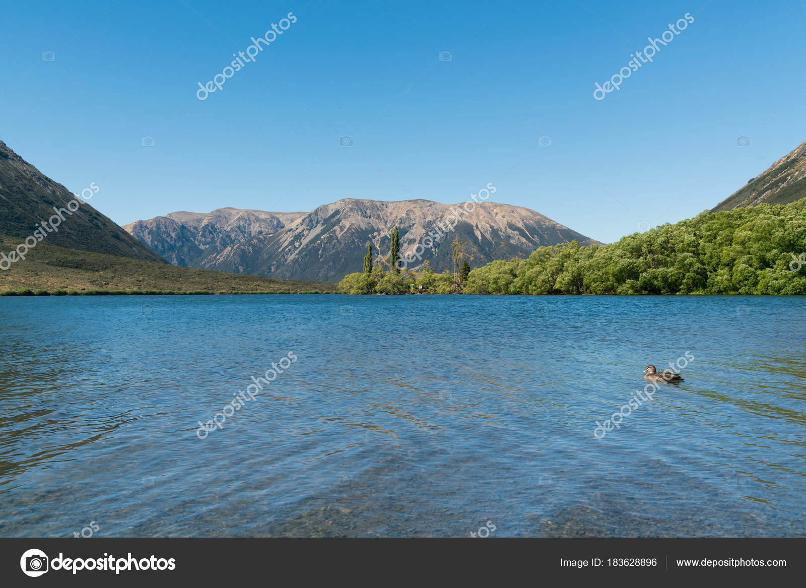 Saison Estivale Lac Pearson Sud Alpes Montagne Alpin