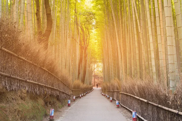 Yol Arashiyama Kyoto Japonya Yürüme Ile Bambu Grove — Stok fotoğraf