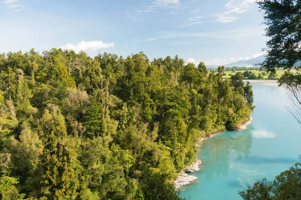 Diepe Bos Jungle Tropische Natuur Achtergrond Nieuw Zeeland — Stockfoto