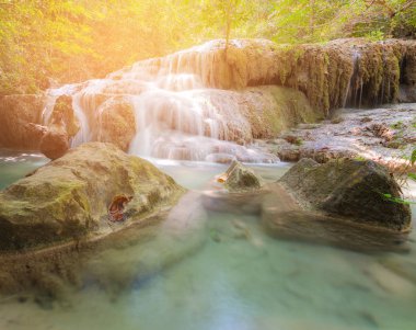 Tropikal doğal orman şelale Milli Park, manzara arka plan
