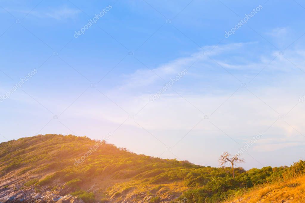 Green mountain slope with blue sky background, natural landscape background