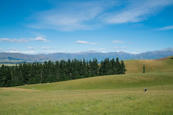 Vysoké Kopce Zelené Sklo Chov Horské Pozadí Pozadí Přírodní Krajina — Stock fotografie