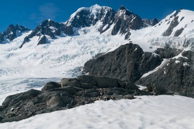 Tilki dağ ve buzul west coast Yeni Zelanda Güney Adası, doğal peyzaj arka plan