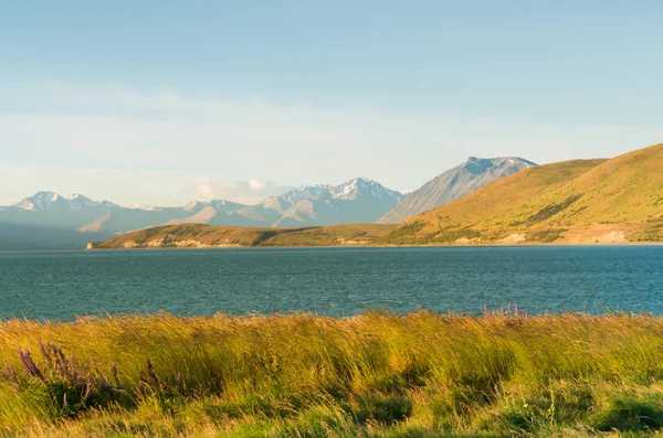 Lake Tekapo Met Berg Een Heldere Blauwe Hemelachtergrond Nieuw Zeeland — Stockfoto