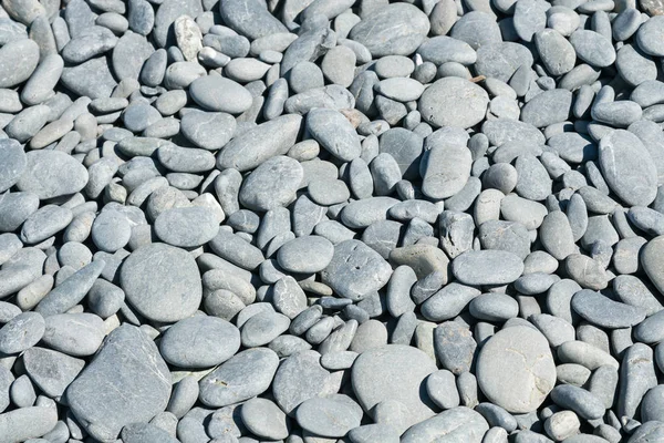 Sea stone round shape on ground, natural background