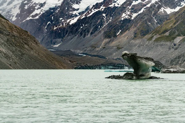 빙하와 뉴질랜드 경관에 — 스톡 사진