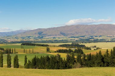 Yaz sezonunda Yeni Zelanda dağ doğal peyzaj