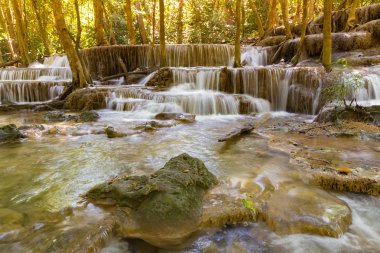 Tropikal mavi akış Şelalesi doğal orman arka planda