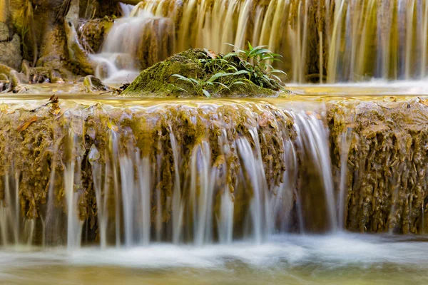 Pequena Planta Sobre Riacho Cachoeira Tropical Paisagem Natural Fundo — Fotografia de Stock