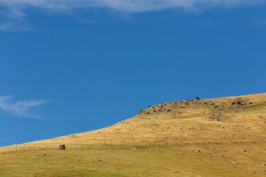 Mavi gökyüzü arka plan ile yüksek tepe yeşil alan