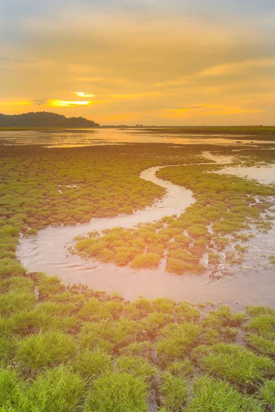 Pequena Água Forma Pouco Vidro Com Horizonte Pôr Sol Paisagem — Fotografia de Stock