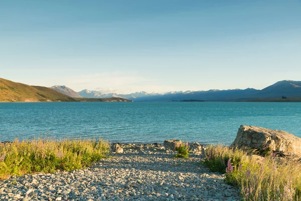 Текапо Водне Озеро Cook Чисте Блакитне Небо Нової Зеландії Природний — стокове фото