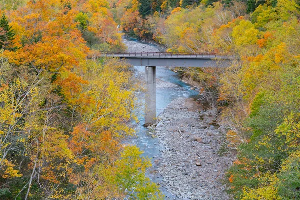 Ponte Estrada Cruzando Rio Sobre Montanha Durante Temporada Outono Hokkaido — Fotografia de Stock