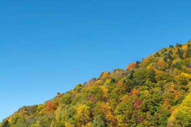 Sonbahar mevsimi dağını, berrak mavi gökyüzü arkaplanı ve doğal manzarasıyla kapatın. 