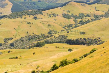Yeşil camlı dağ yamacı, Yeni Zelanda doğal manzarası