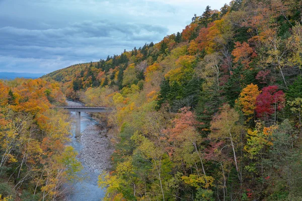 Color Montaña Completa Durante Cambio Temporada Otoño Hokkaido Japón Paisaje — Foto de Stock