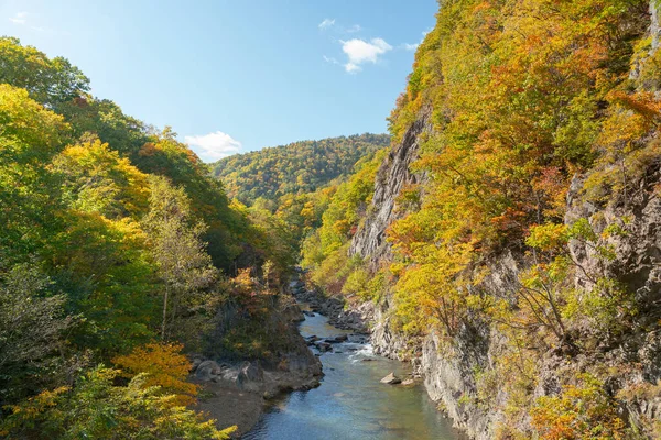 Pequeno Riacho Sobre Montanha Rocha Colorida Durante Temporada Outono Hokkaido — Fotografia de Stock