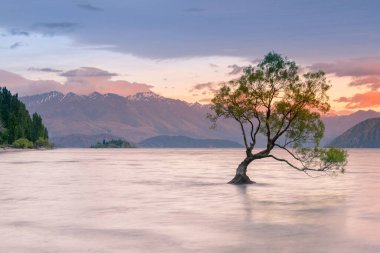 Wanaka Gölü 'nde gün batımından sonra güzel, Yeni Zelanda doğal manzara 