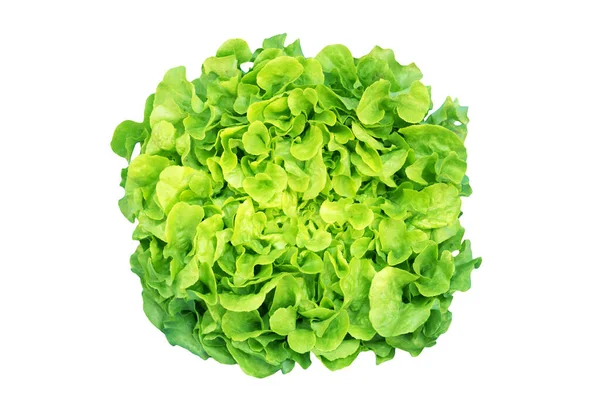 Lettuce Leaves Isolated White Background — Stock Photo, Image