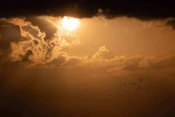 Hejna Ptáků Letící Nad Zapadajícím Sluncem Oranžovými Mraky Slovinsku — Stock fotografie
