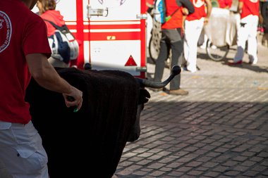 Tekerlekli plastik boğa