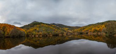 Suda yansımaları olan sonbahar manzarası.