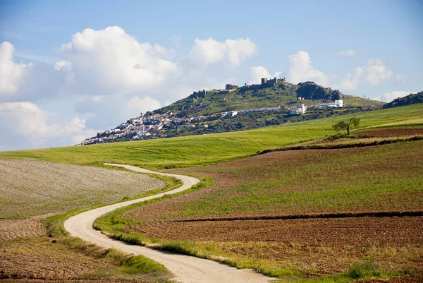 Bir yaz günü şatoya giden dolambaçlı yolda tarım arazileri ve buğday bulutları