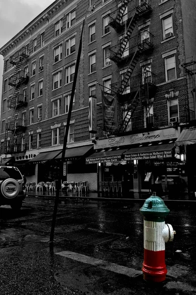 29 Şubat 2012 - New York - ABD