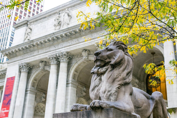 27 октября 2016 года - Нью-Йорк, США, один из мраморных львов, охраняющих публичную библиотеку Нью-Йорка
