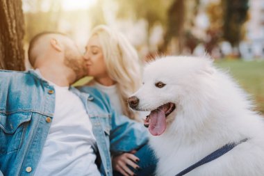 Sonbahar parkında ağaçların altında oturan beyaz tüylü köpek yavrusu ile genç kadın ve erkeğin yakınlaşması.