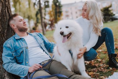 Mutlu güzel bayan ve erkek arkadaşı beyaz tüylü yavru köpeğe sarılıyorlar sonbahar parkında ağacın altında oturuyorlar.