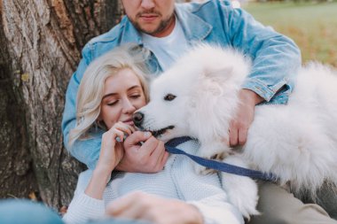 Mutlu genç çift parkta ağaçların yanında otururken evcil hayvanlarla vakit geçiriyor.