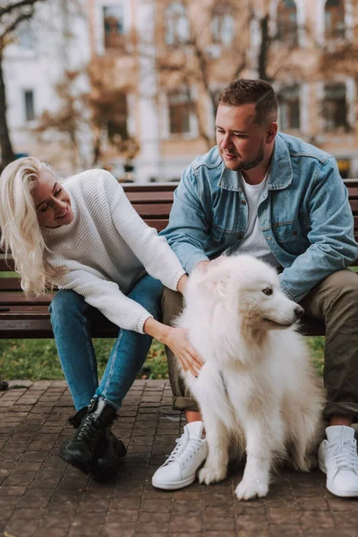 年轻的微笑的女士和男人正享受着他们的约会 而坐在一条小巷的长椅上 抱着一只白色毛茸茸的小狗 — 图库照片