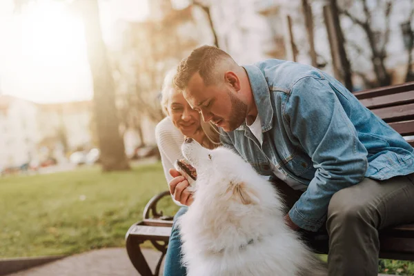 Joven Feliz Sonriente Mujer Hombre Están Acariciando Blanco Perro Esponjoso — Foto de Stock