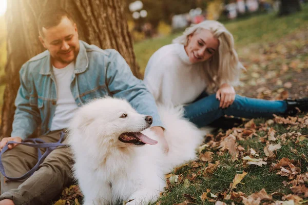 在秋天的公园里 一对笑着的年轻夫妇和一条白毛狗坐在树下 — 图库照片