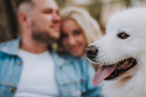 与年轻微笑的女士和带着白色毛茸茸的小狗的男人亲密接触 享受大自然和室外新鲜空气 — 图库照片