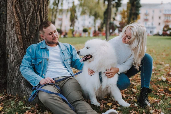 在秋天的公园里 快乐的男男女女正坐在树下 抱着白茸茸 嬉闹的小狗 — 图库照片