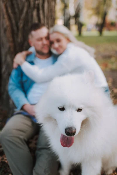 一只有趣的白狗坐在公园里 两个人抱着它的背影 — 图库照片