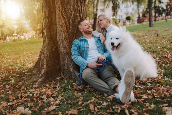 Mutlu güzel bayan ve erkek arkadaşı beyaz kürklü yavru köpekle poz veriyor Samoe cinsi ve sonbahar parkında büyük bir ağacın yanında oturuyor.