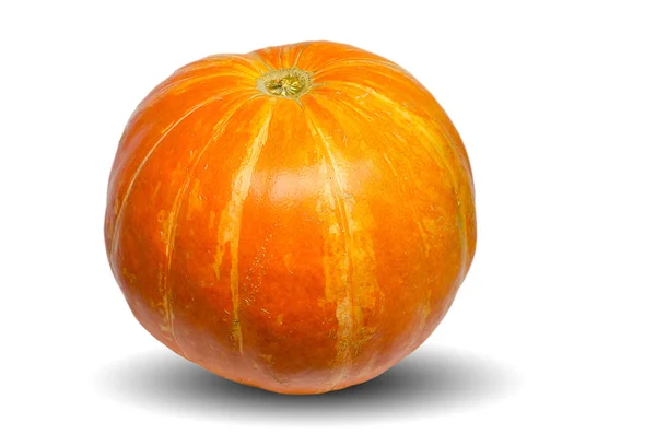 Oranje pompoen geïsoleerd op de witte achtergrond — Stockfoto