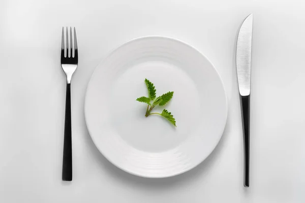 Table Setting White Plate Filled Green Sprig Mint Next Cutleries — Stock Photo, Image