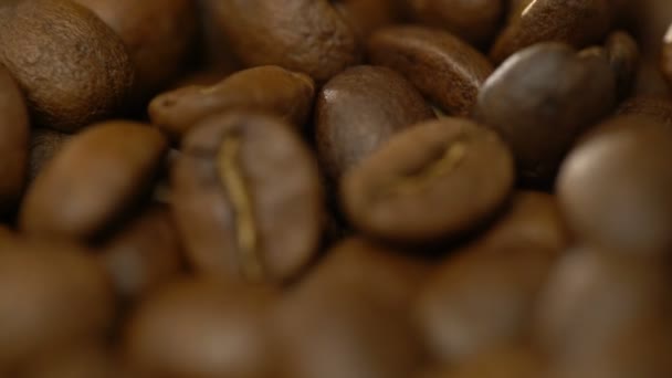 Kamera Ponownie Skupia Się Rozrzuconych Pięknych Ziarnach Kawy Tworzy Atmosferę — Wideo stockowe