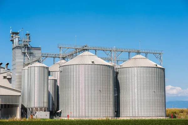 Silos de armazenagem para produtos agrícolas (cereais) — Fotografia de Stock