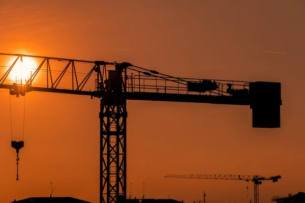 Grúa de silueta en el fondo del atardecer — Foto de Stock