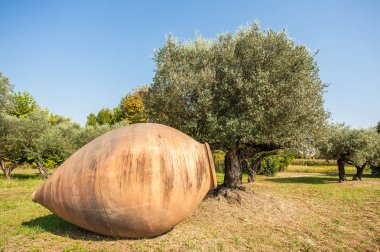 Petrol ve zeytin ağaçları için büyük pişmiş toprak kavanozu 