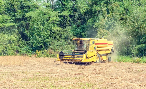 Combine harvester on a soy field — Stock Photo, Image