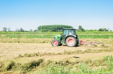 Tarım manzara. Traktör haymaking