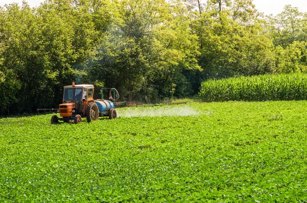 Old tractor spraying pesticides on soy bean — Stock Photo, Image