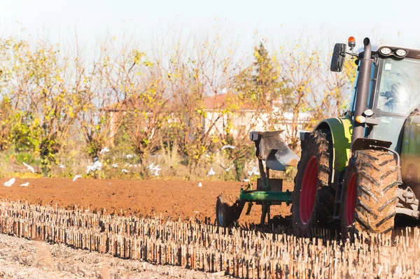 Traktor, eke. A mező kukorica szántás. — Stock Fotó