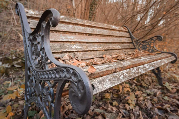 秋天公园里的长椅. — 图库照片